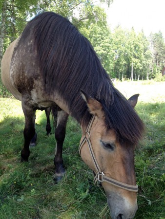 Nadja av Basta, Rysk Basjkir